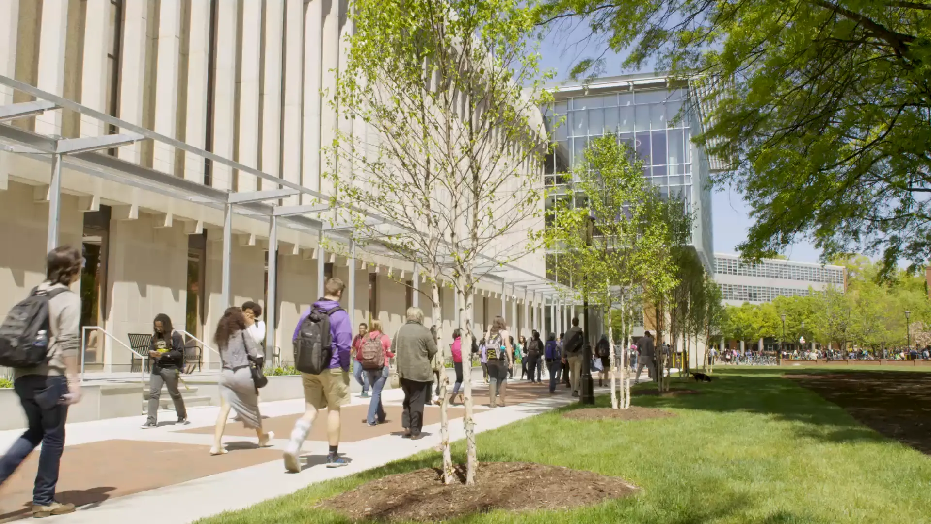 A beautiful view of Cabell Library showcasing the bustling student population as they walk along the beautiful brick pathways admiring one of the many green spaces of VCU's urban Monroe Park Campus. Come to Preview Days!